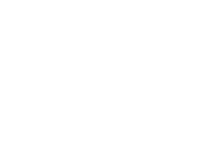 PLV PERFORMANCE